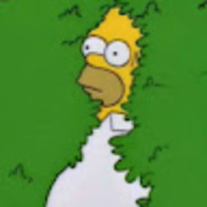 Meet your Posher, Maddox